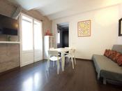 SEA MAESTRO 2 , Business apartment rent Barcelona